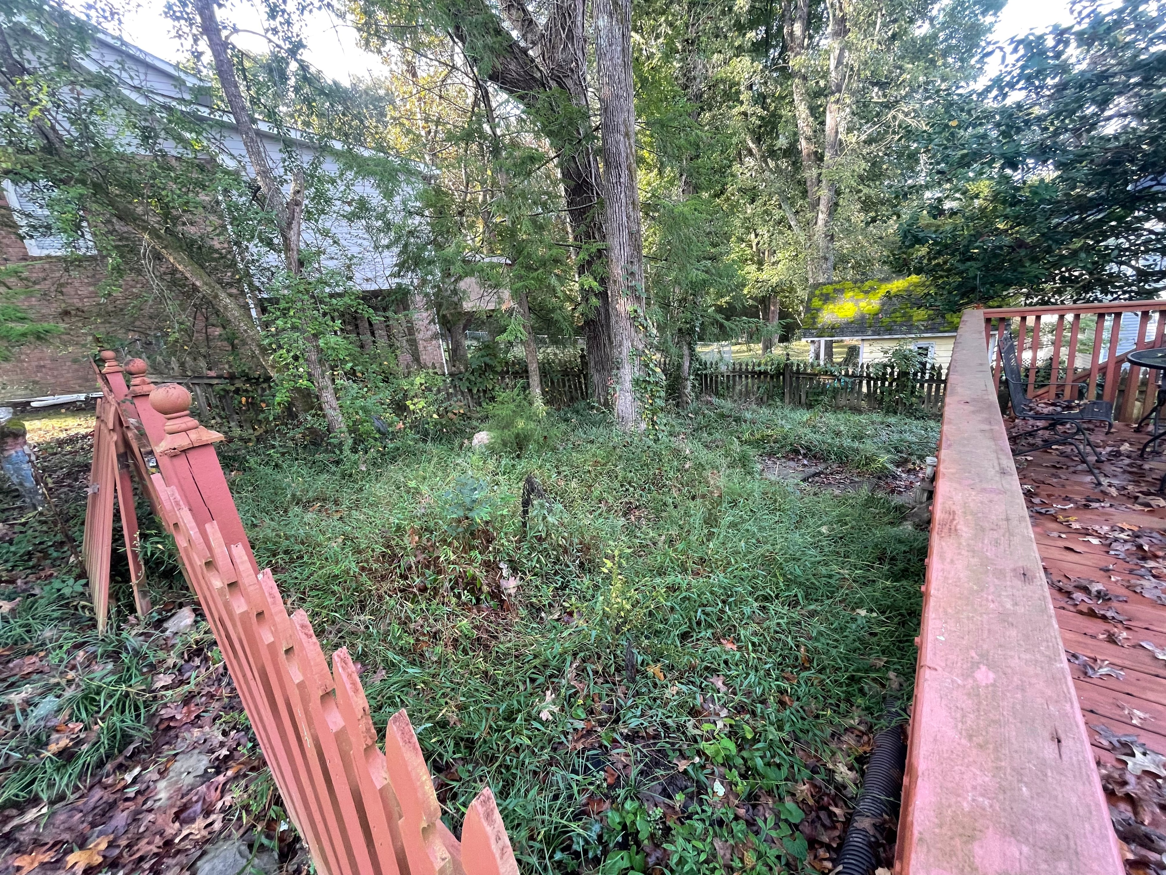 Yard before Bursting Blooms landscaping transformation